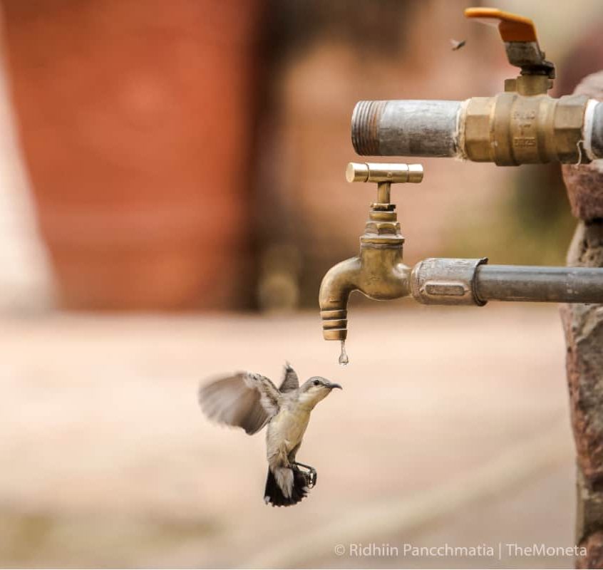 Water Resilience in India: Practical Solutions Every Building Can Adopt Today